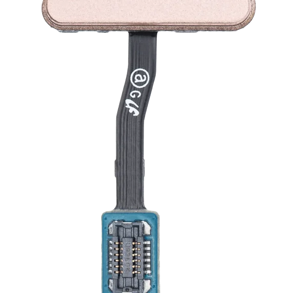 Samsung Galaxy S10 İle Uyumlu Güç ve Parmak İzi Okuyucusu Flex Kablo ile E (Flamingo Pembesi)