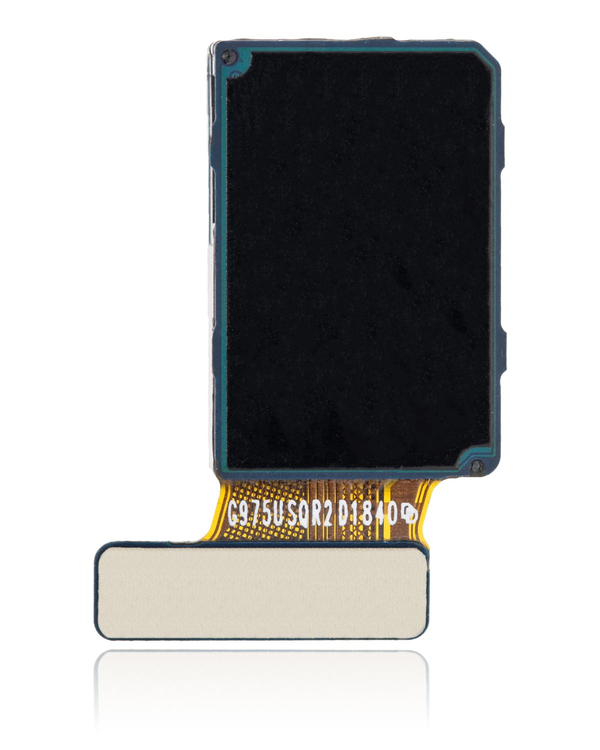 Samsung Galaxy S10 Plus İle Uyumlu Ön Kamera (ABD Sürümü) - Görsel 3