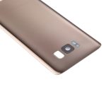 Samsung Galaxy S8 Arka İle Uyumlu Kapak Camı Kamera Lensiyle  (Aftermarket Plus) (Akçaağaç Altını) - Görsel 2