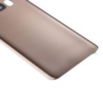 Samsung Galaxy S8 Arka İle Uyumlu Kapak Camı Kamera Lensiyle  (Aftermarket Plus) (Akçaağaç Altını) - Görsel 3
