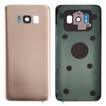 Samsung Galaxy S8 Arka İle Uyumlu Kapak Camı Kamera Lensiyle  (Aftermarket Plus) (Akçaağaç Altını) - Görsel 6