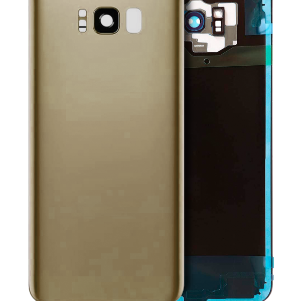 Samsung Galaxy S8 Plus İle Uyumlu Arka Kapak Camı Kamera Lensli  (Akçaağaç Altını)
